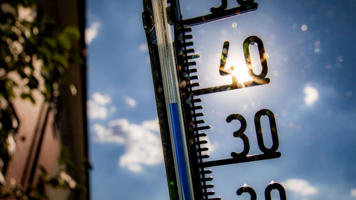 Deutschland im Würgegriff der Hitzewelle: Am Dienstag (19.07.2022) dürfte die 40-Grad-Marke geknackt werden. (Foto)