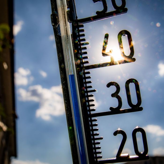 Hitzerekorde in sechs Bundesländern - Schäden durch Unwetter-Walze