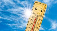Das Thermometer kletterte in Deutschland in den vergangenen Jahren immer häufiger auf bis zu 40 Grad.