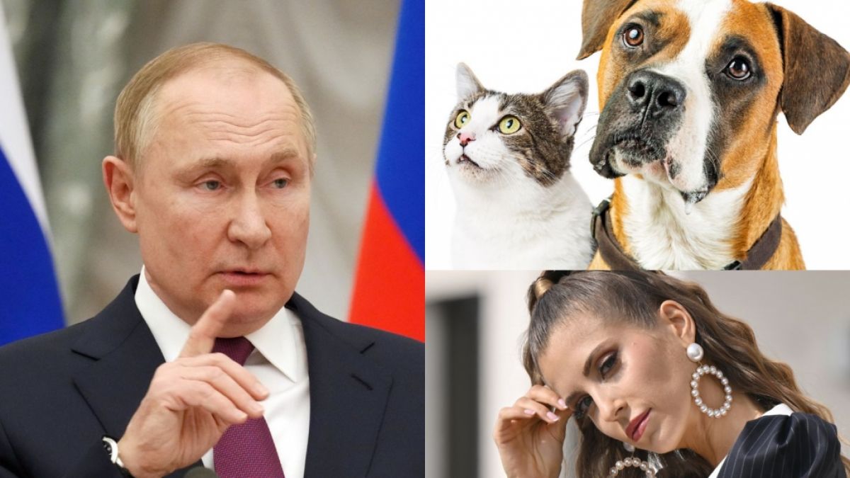 #News des Tages am 20.07.2022: Putin schockt mit Schlaff-Gig / Knast-Schock zu Händen Tierbesitzer / Ex-Spielerfrau krass verändert