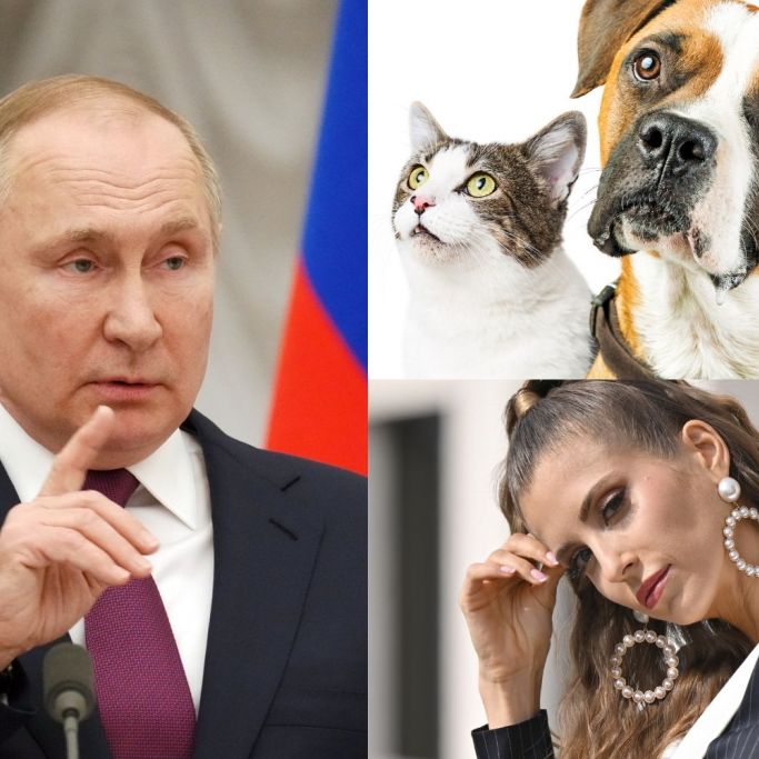 Putin schockt mit Schlaff-Auftritt / Knast-Schock für Tierbesitzer / Ex-Spielerfrau krass verändert