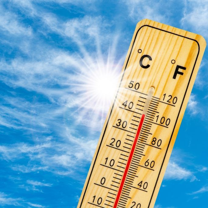Bis zu 40 Grad prophezeit! Droht im August die nächste extreme Hitze?