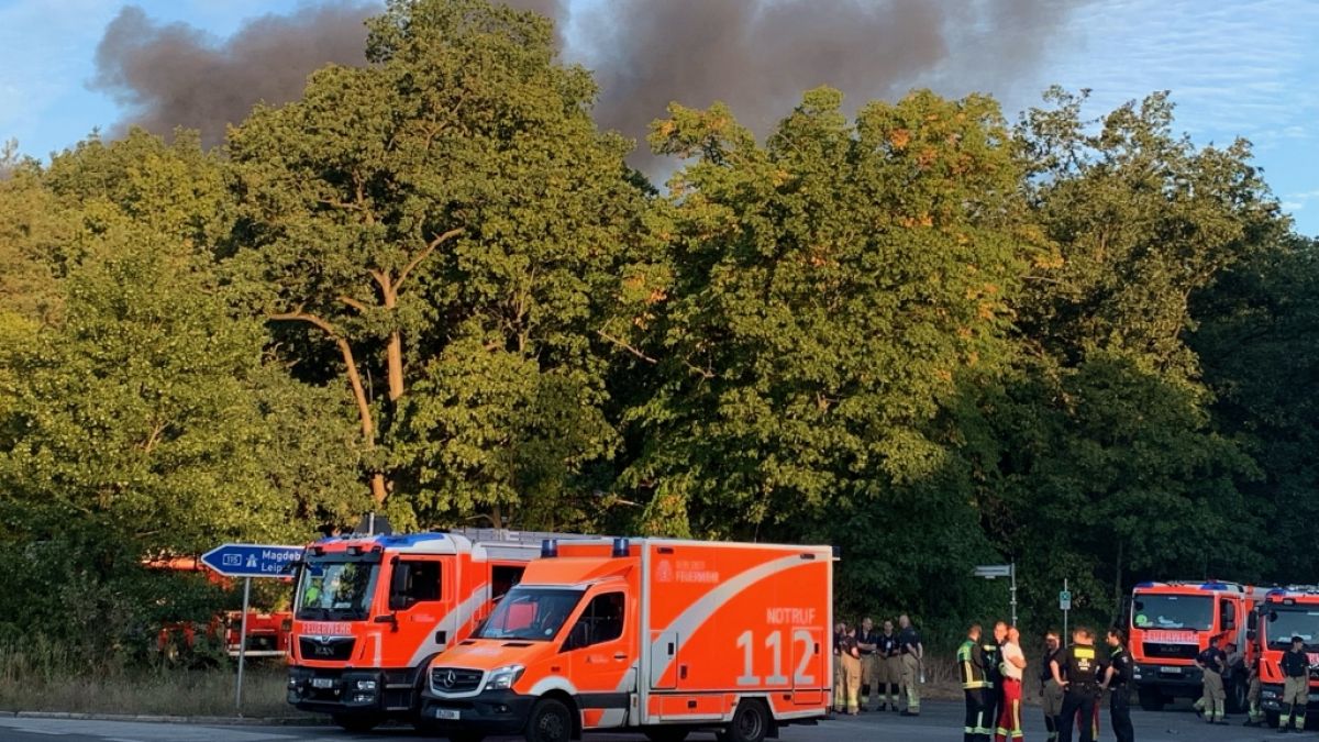 #Waldbrände derzeit im News-Ticker: Wundbrand im Berliner Pfannkuchen Grunewald! Erneut Explosionen uff Sprengplatz