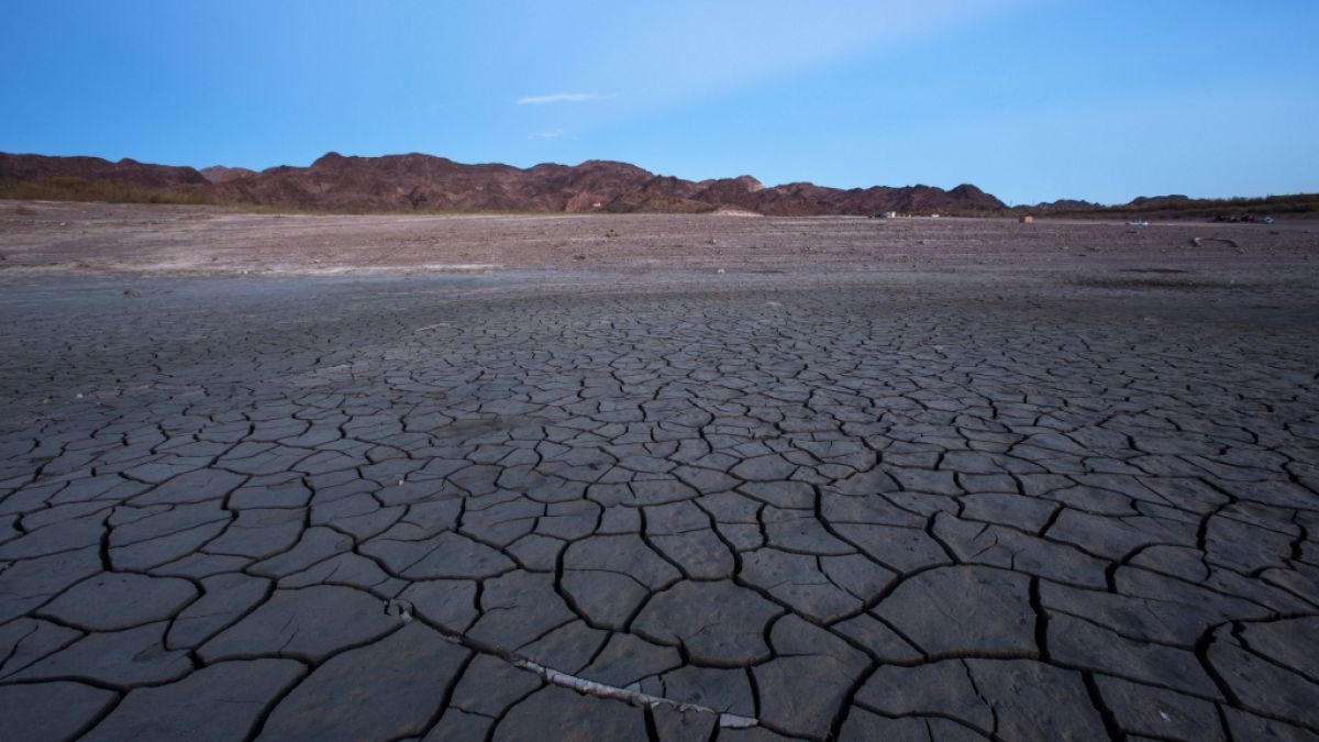 Infolge einer langanhaltenden Dürreperiode im US-Bundesstaat Nevada gibt der Stausee Lake Mead Stück für Stück seine gruseligen Geheimnisse preis. (Foto)
