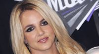 Britney Spears soll ihre Söhne beschimpft haben.
