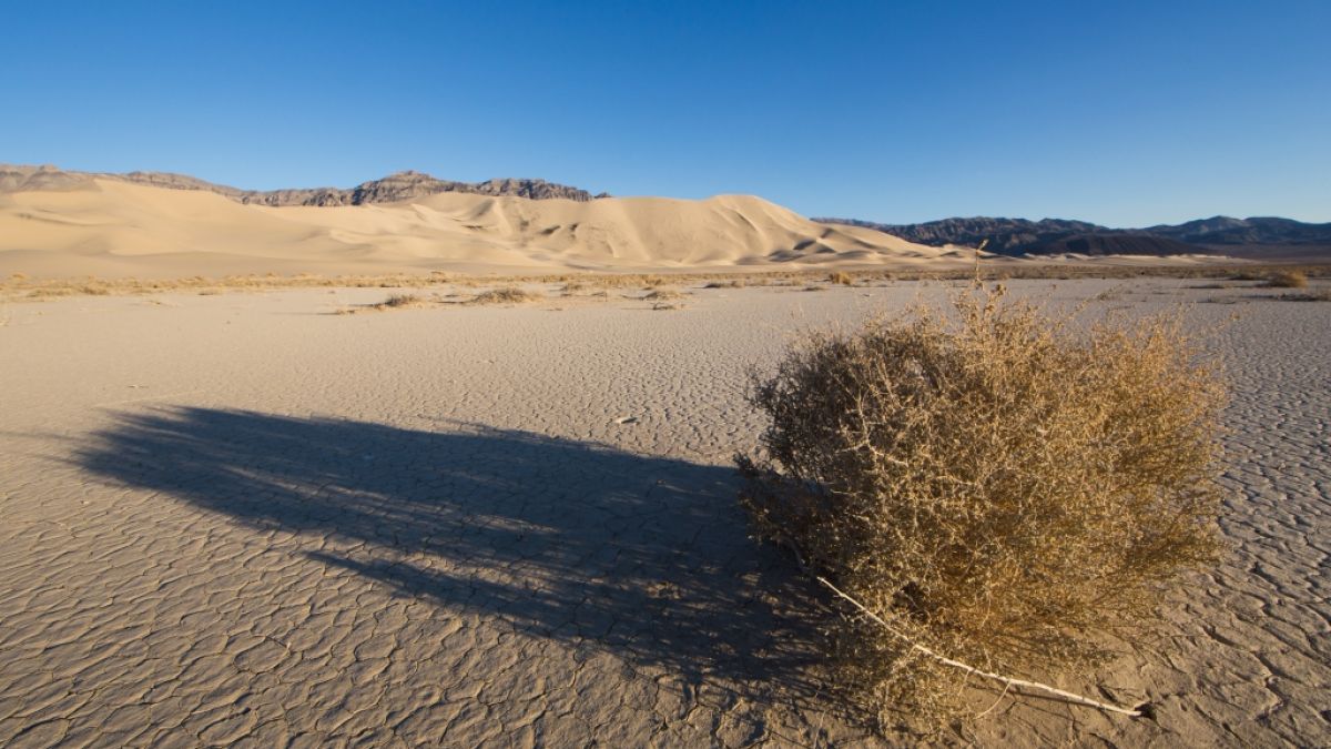 Larry und Betty Petree wurden tot in der Mojave-Wüste aufgefunden. (Foto)