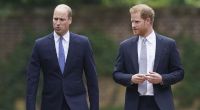 Um seinen Bruder Harry macht Prinz William derzeit aller räumlichen Nähe zum Trotz lieber einen großen Bogen.