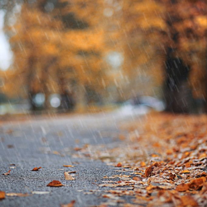 Wetterdienst warnt vor Starkregen! Schlägt der Herbst nun eiskalt zu?