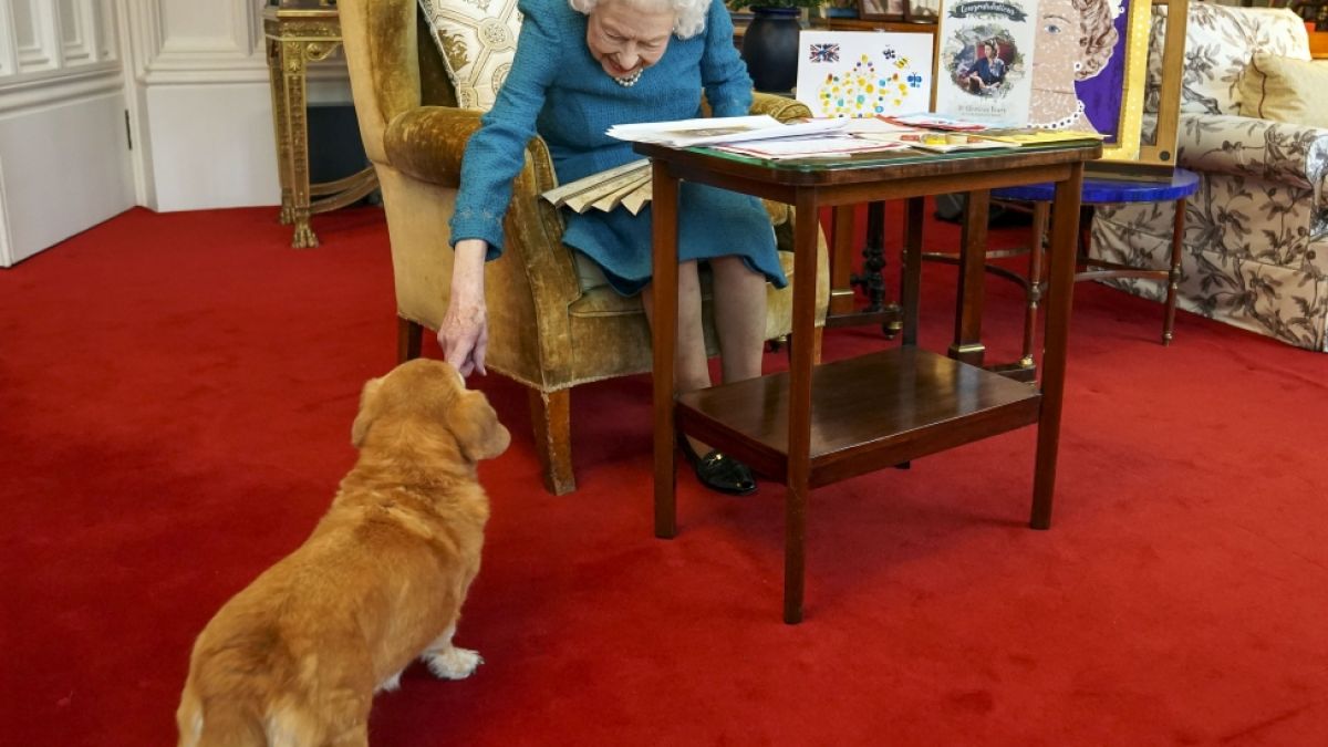 Königin Elizabeth II. mit einem ihrer Hunde, einem Dorgi namens Candy. (Foto)