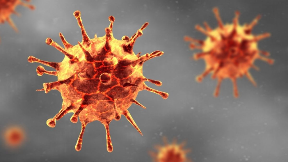 Das Coronavirus (Bild) hält die Welt weiter in Atem. Droht durch Khosta-2 nun die nächste Pandemie? (Symbolbild) (Foto)
