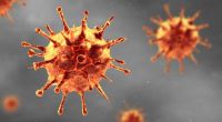 Das Coronavirus (Bild) hält die Welt weiter in Atem. Droht durch Khosta-2 nun die nächste Pandemie? (Symbolbild)