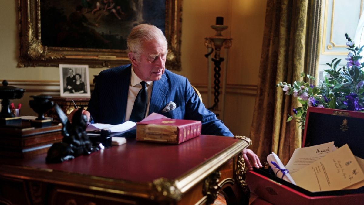 König Charles III. kann sich auf die Unterstützung von vier Royals verlassen. (Foto)
