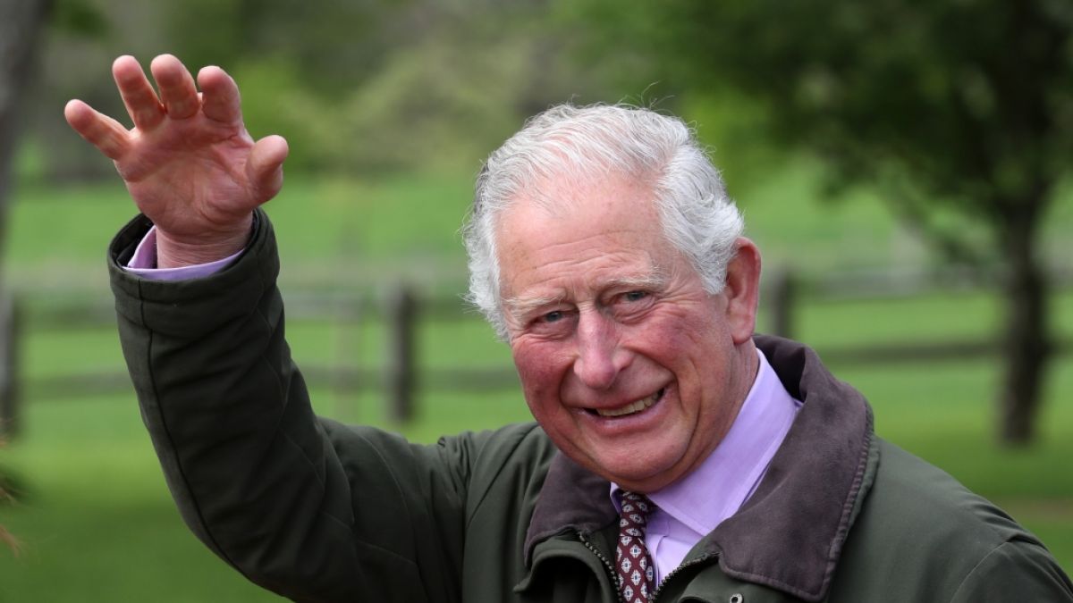 König Charles will Prinz Andrew zum Corgi-Ausführer degradieren. (Foto)