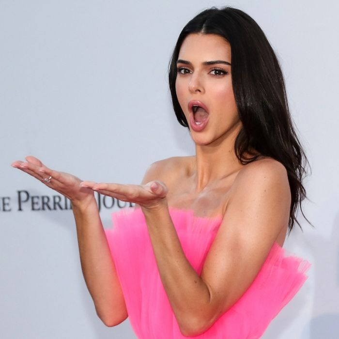 Kendall Jenner zeigt sich im Fisch-Look.