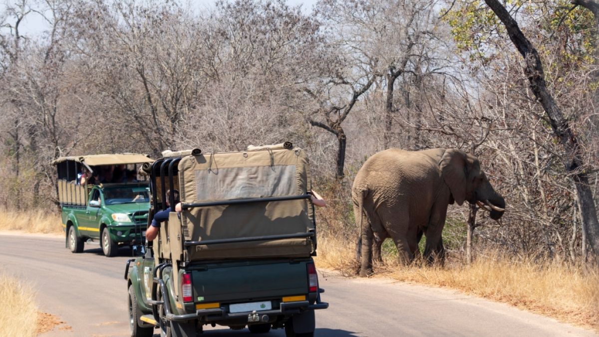 Ein deutscher Tourist wurde im Kruger-Nationalpark erschossen. (Symbolbild) (Foto)