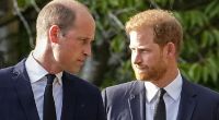 Dicke Luft bei den Royals: Das Vertrauen zwischen Thronfolger Prinz William und seinem jüngeren Bruder Prinz Harry soll zeit längerer Zeit in Scherben liegen.