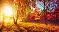 Goldener Oktober in Deutschland: Bleibt das schöne Herbstwetter auch am Wochenende? (Symbolfoto)