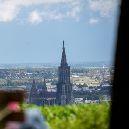 Blick auf das Ulmer Münster