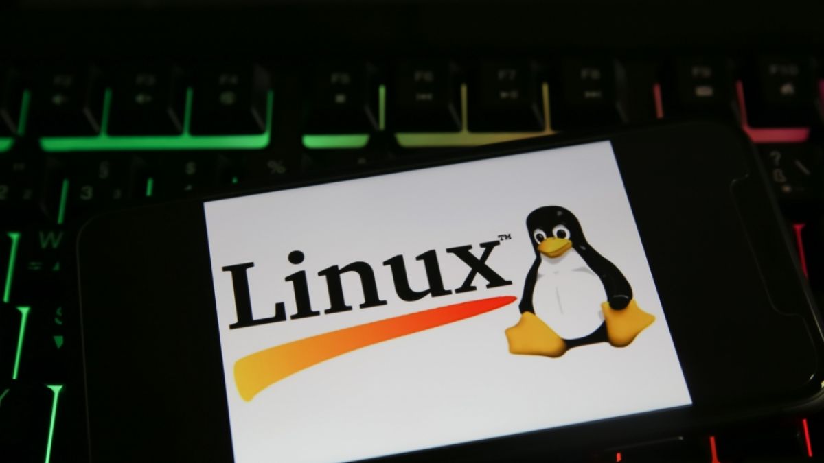 Für Linux liegt ein IT-Sicherheitshinweis vor (Symbolbild). (Foto)