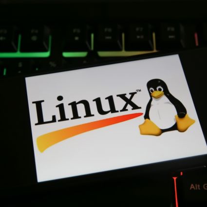 Linux Kernel