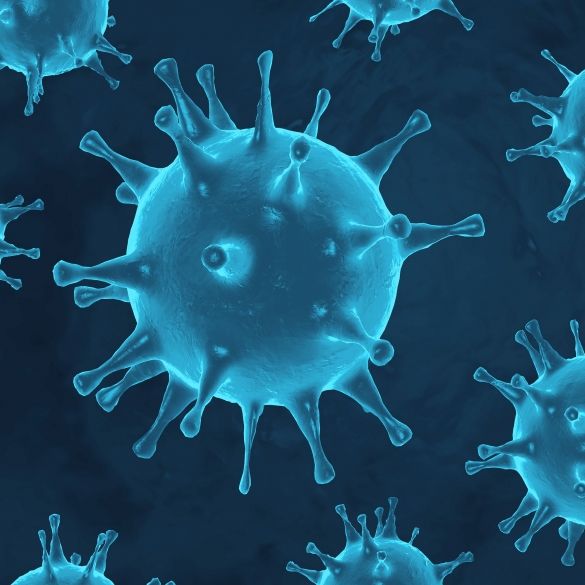 Im Labor gezüchtet! US-Forscher experimentieren mit Killer-Corona-Virus