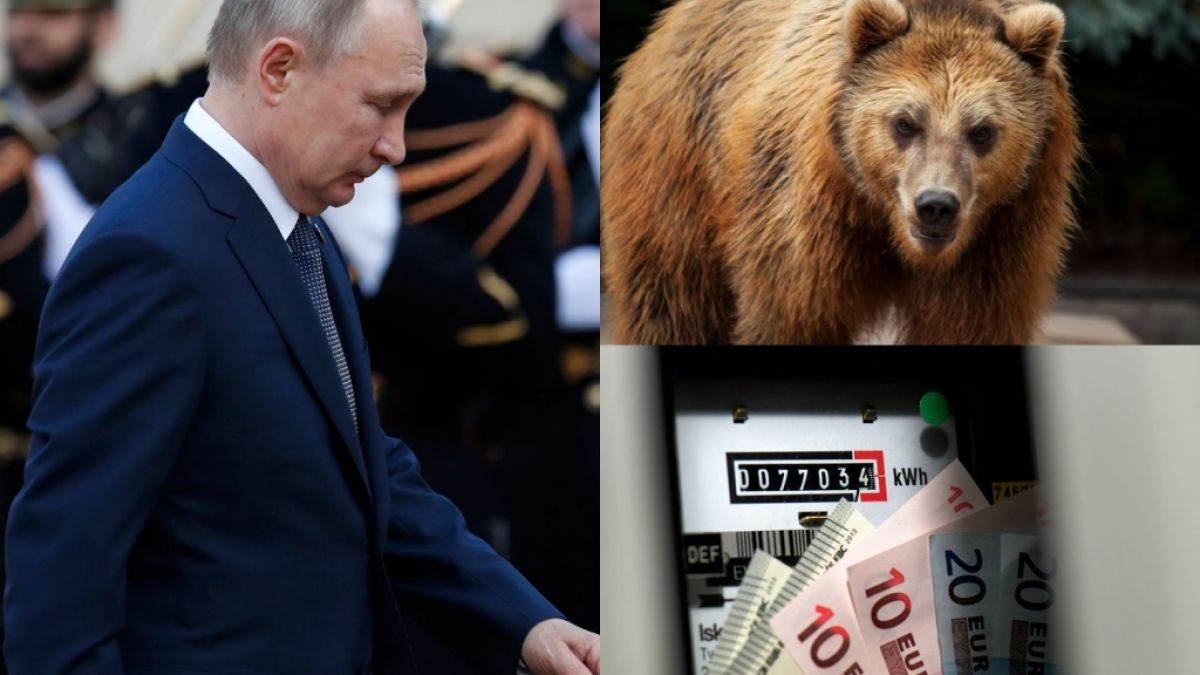 Die News des Tages heute mit Schlagzeilen zu Wladimir Putin, Bären-Attacke im Zoo und Strompreis-Horror. (Foto)