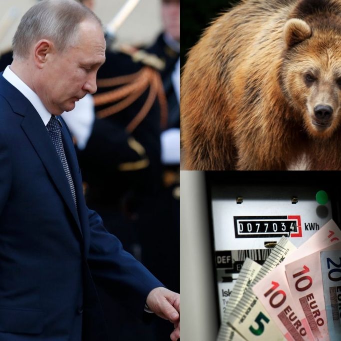 Preis-Schock! Strom wird NOCH teurer / Putin-Soldaten vergewaltigen Kind (4) / Bär reißt Kinder-Arm ab