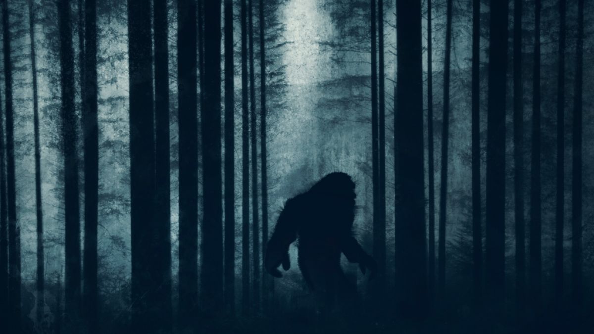Erneut löst ein unscharfes Foto aus den Wäldern eines US-Bundesstaats für Bigfoot-Spekulationen. (Foto)