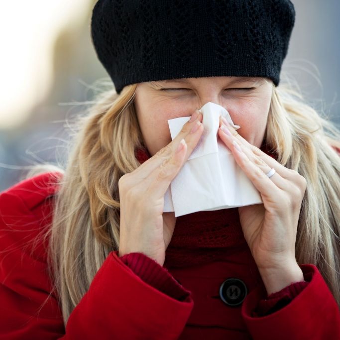 Niesen, schnäuzen oder hochziehen! Ist das Naseputzen wirklich gefährlich?