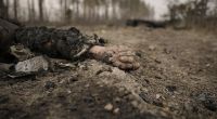 300 Soldaten tot, verwundet oder vermisst, unzählige Militärfahrzeuge pulverisiert - eine verheerende Offensive der russischen Armee im Süden der Ukraine hat die überlebenden Soldaten zu einem Wut-Brief veranlasst (Symbolfoto).