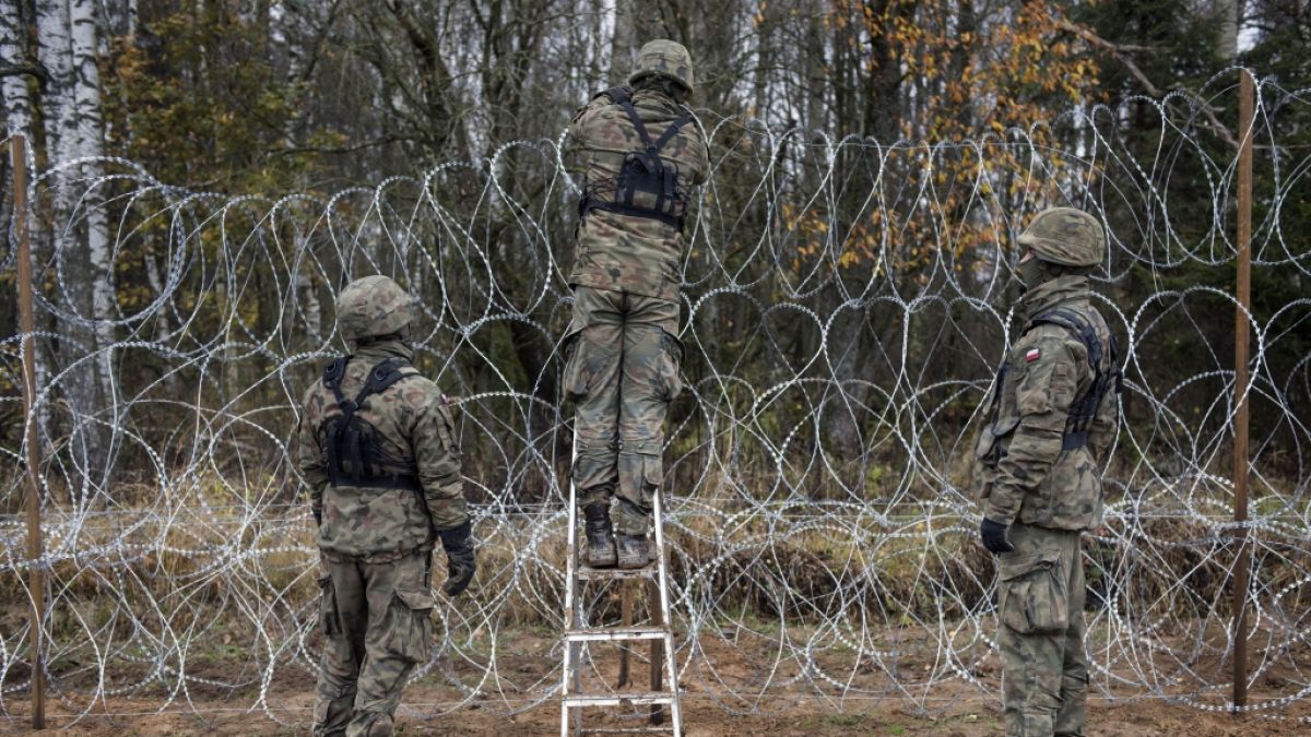 Polnische Soldaten errichten einen Stacheldraht-Zaun an der Grenze zur russischen Exklave Kaliningrad. (Foto)