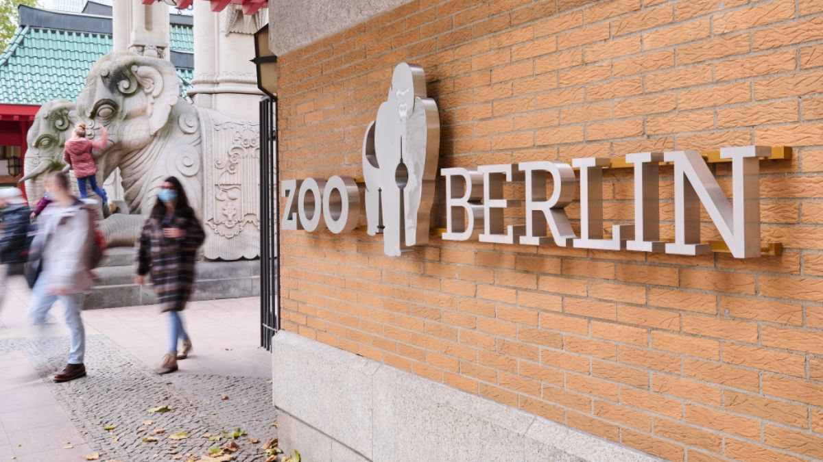 Der Berliner Zoo ist mit sofortiger Wirkung für Besucher geschlossen, nachdem ein Zootier positiv auf Vogelgrippe getestet wurde. (Foto)
