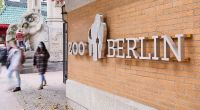 Der Berliner Zoo ist mit sofortiger Wirkung für Besucher geschlossen, nachdem ein Zootier positiv auf Vogelgrippe getestet wurde.