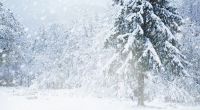 In den Alpen soll es am Dienstag einen heftigen Schneesturm geben. (Symbolfoto)