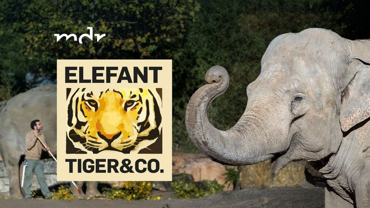 Elefant, Tiger & Co. bei MDR (Foto)