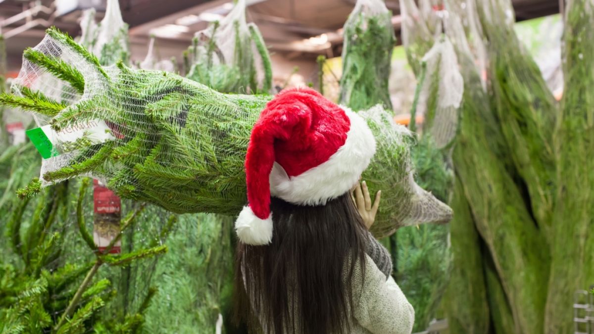 Viele Weihnachtsbäume sind stark mit Pestiziden belastet. (Foto)