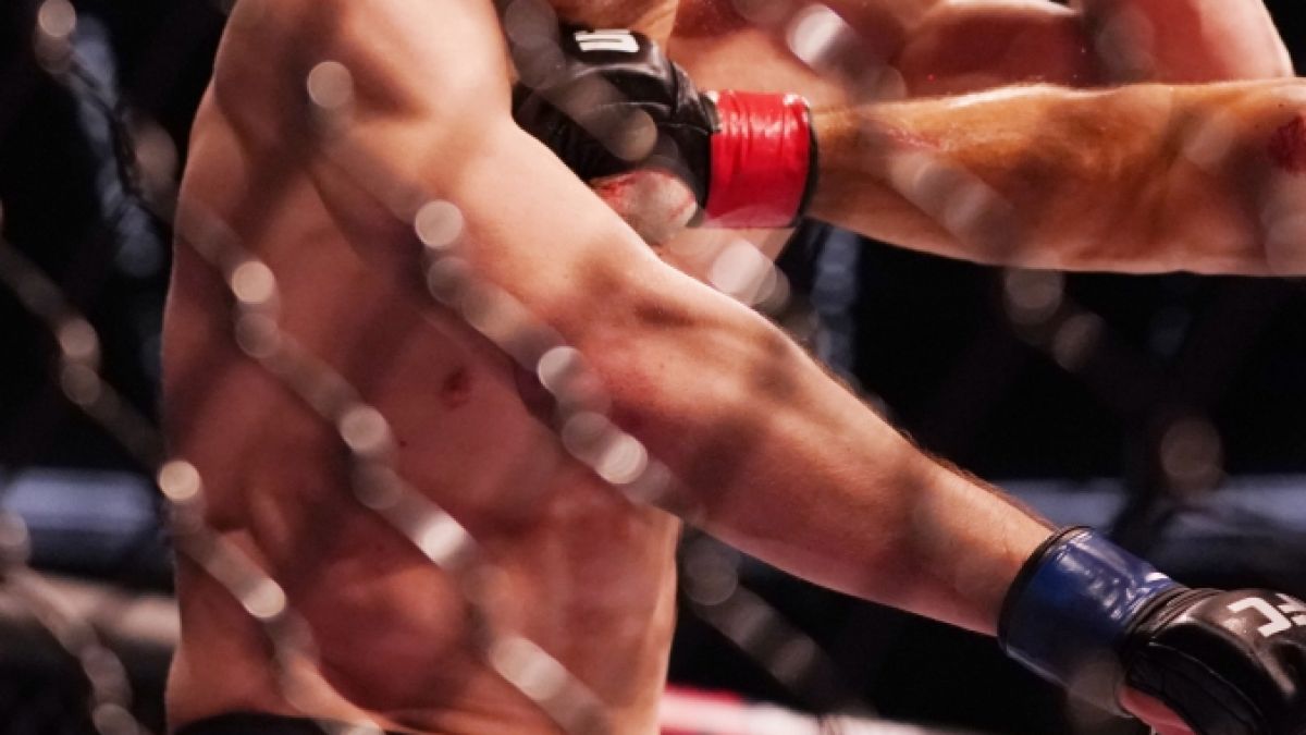 Wer holt bei UFC 282 den vakanten Titel im Halbschwergewicht? (Foto)