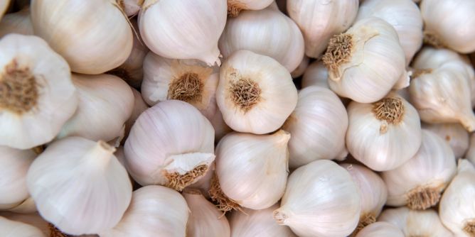 Vergiftung durch Knoblauch?