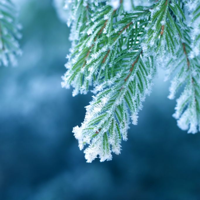 Schneechaos befürchtet! Meteorologen warnen vor Eiszeit bis Weihnachten