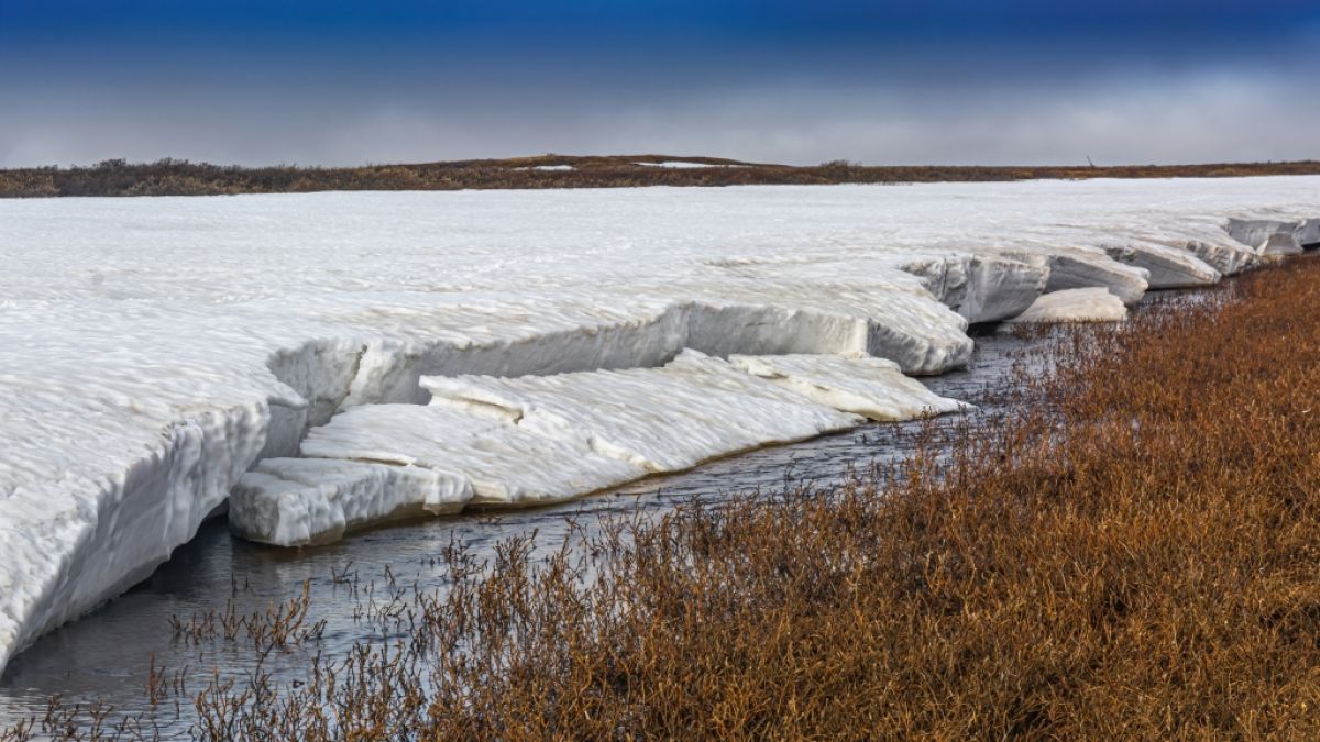 Wenn sich die Erde weiter rapide erwärmt, können gefährliche Krankheiten aus dem Eis auftauchen. (Foto)