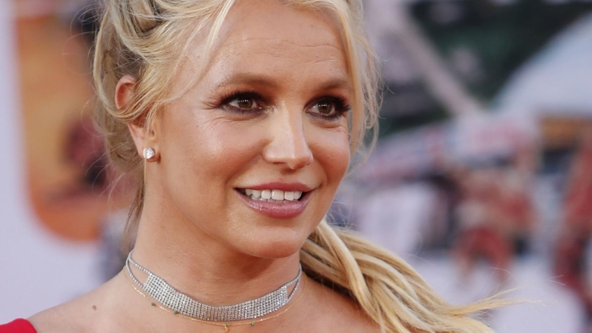 #Britney Spears: Unverblümt, peinlich, völlig verrückt: Fans züchtigen Britney-Warnton