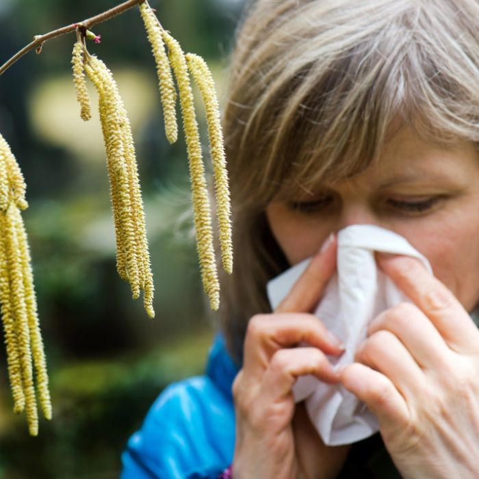 Allergiker aufgepasst! Die Pollen-Saison legt JETZT los