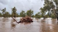 In Australien sorgt Extremwetter für verheerendes Hochwasser.