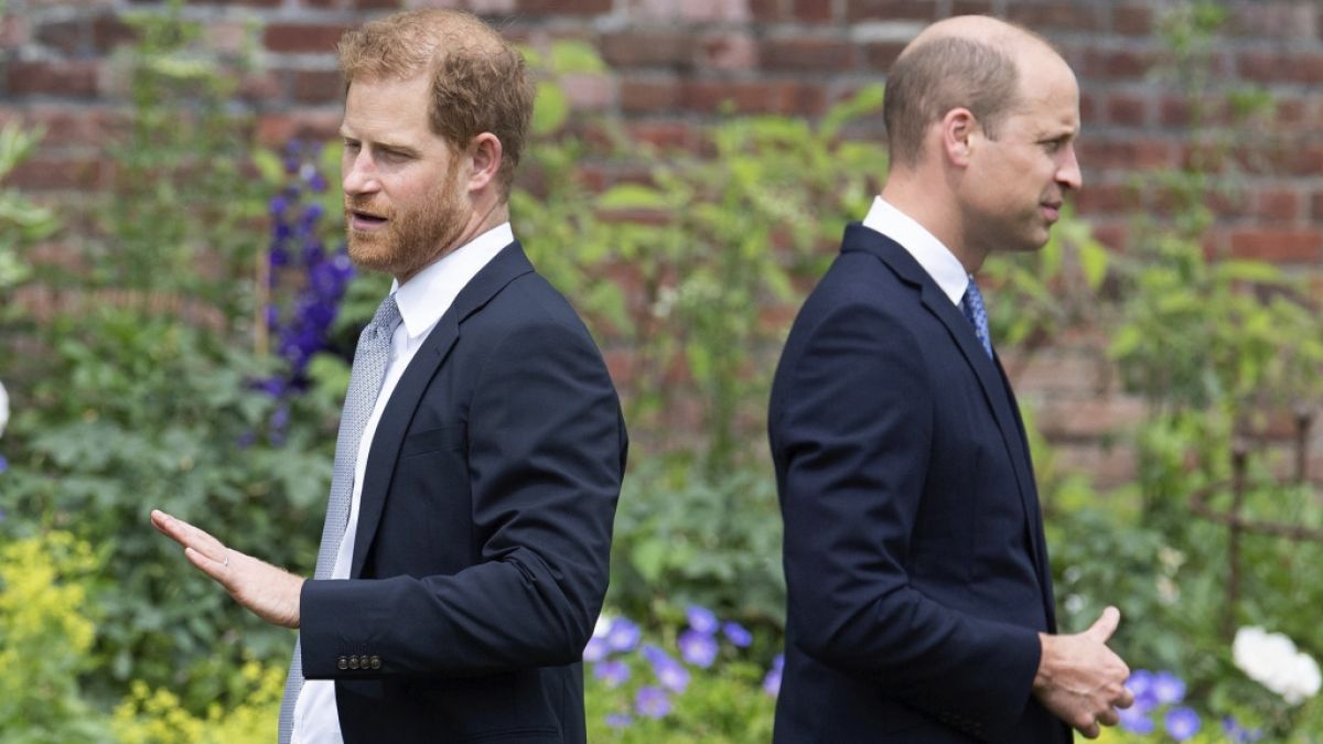 Das Erbe der Windsors ist nicht zu übersehen: Nicht nur an Prinz Williams Haarschopf nagt der Zahn der Zeit, auch Prinz Harry hat ein haariges Problem. (Foto)