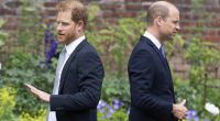 Das Erbe der Windsors ist nicht zu übersehen: Nicht nur an Prinz Williams Haarschopf nagt der Zahn der Zeit, auch Prinz Harry hat ein haariges Problem.