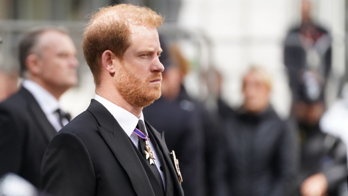 #Prinz Harry erschüttert König Charles III. und Cobalt.: Prügel, Pimmel-Leiden, Drogen-Orgien! Selbige Royals-News stellten was auch immer in den Schlagschatten