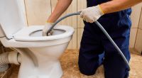 Ein Klempner fand jetzt Leichenteile in einer Toilette in Lyon, Frankreich.