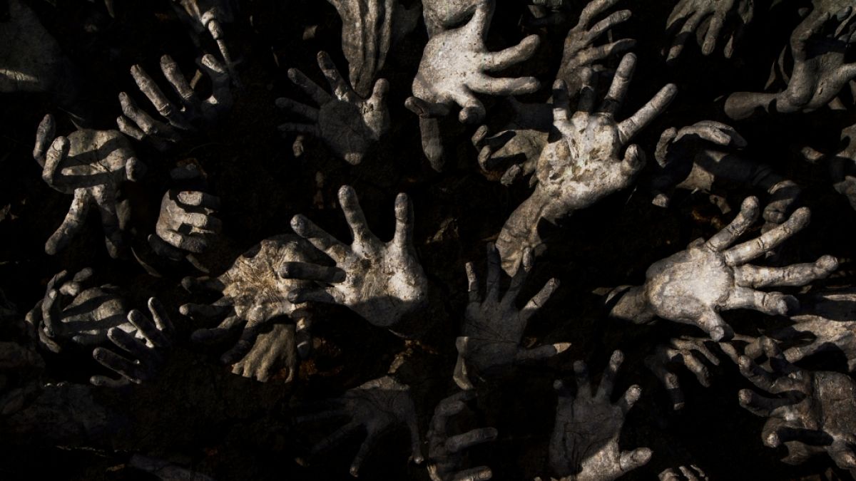 #Ophiocordyceps unilateralis: Zombie-Götterdämmerung durch Killerpilze! Wissenschaftler warnen vor Horror-Szenario