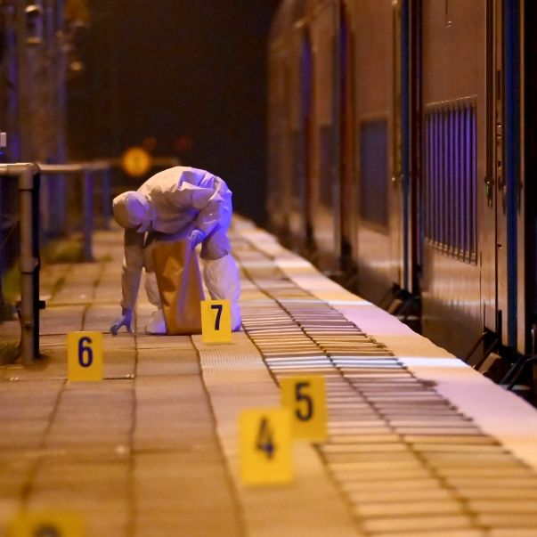 Zwei Tote in Regionalzug nach Hamburg! Sind zu wenig Polizisten an Bahnhöfen?
