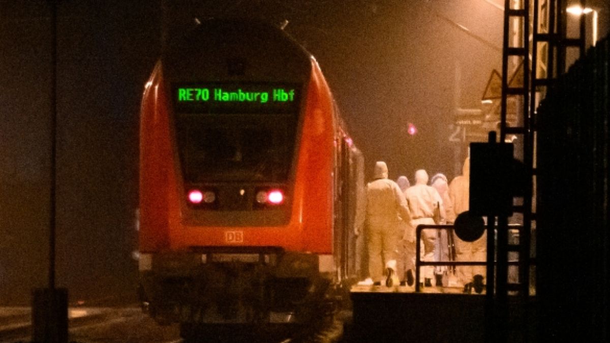 In einer Regionalbahn zwischen Hamburg und Kiel kam es am Mittwoch zu einer tödlichen Messerattacke. (Foto)